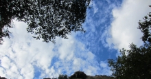 ESCONDIDO FALLS